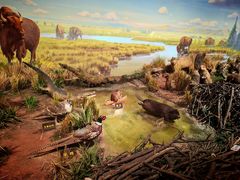 -陕西自然博物馆