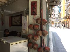 -洪馨椰子