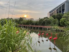 -福州大学(旗山校区)