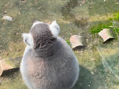 -北京海洋馆