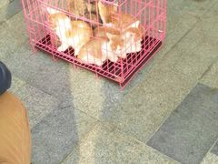 -万达广场(松江店)
