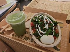 -油梨树 AVOCADO TREE(亮马桥店)