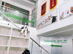 -爱侣宠医·鹦鹉专科·小型哺乳类·异宠专科(灵石路店)