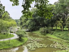 -东莞植物园