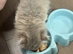 -美联众合动物医院·24h京西诊疗中心