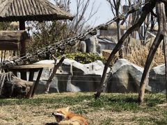 -祥源·阜阳生态乐园