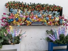 -青果巷历史文化街区