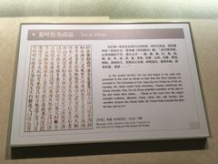 -中国茶叶博物馆(双峰馆区)