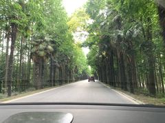 -上海海湾国家森林公园