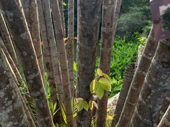 -人民公园(罗湖区)