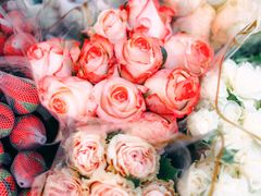 -循礼门鲜花花市(武汉循礼门店)