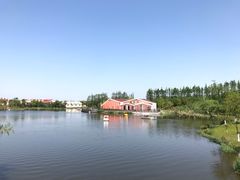 -上海长兴岛郊野公园