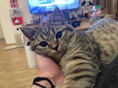 -安安宠医·臻爱宠物医院·宠保定点(营门口路分院)