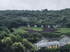 -东海半边山旅游度假区