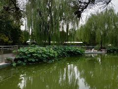 -黄村公园