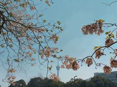 -成都市活水公园
