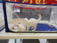 -华为智能生活馆(北京富力广场)