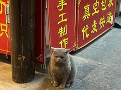 -粗茶淡饭(东关街店)