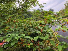 -龙川湾千岛湖国际垂钓中心