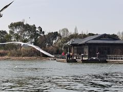 -渤公岛生态公园