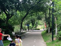 -燕晗山郊野公园