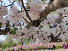 -元大都城垣遗址公园