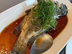 清蒸老虎斑-徐记海鲜·宴会(大唐西市|丰庆店)