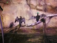 -哈尔滨波塞冬海底世界