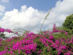-白沙门生态公园
