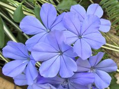 -楠溪江风景名胜区