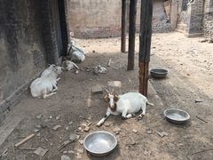 -盛世南宫影视城(北普陀影视城)
