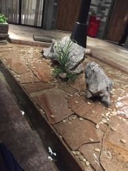 -广东道至正餐厅(区庄店)