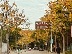 -秋霞圃