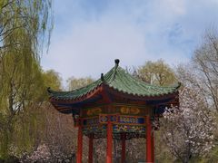 -宗角禄康公园