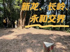 -黄埔油麻山森林公园