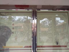 -梵天禅寺