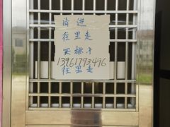 -老袁家蜜桃农场·阳山水蜜桃