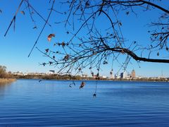 -长春市南湖公园