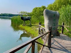 -溱湖国家湿地公园