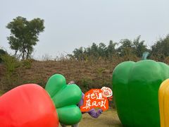 -黄龙溪欢乐田园