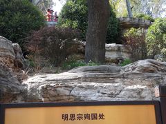 android_upload_pic-景山公园