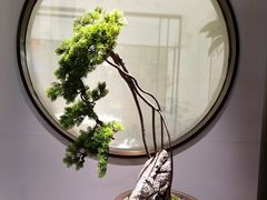 -豫丰汇河南名菜楼(武记餐饮)