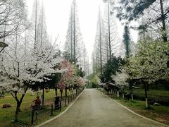 景点-宝岩生态观光园