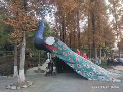 -成飞公园