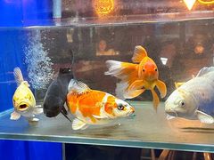 -蚝翅·海鲜粥·烧烤·龙虾季(海曙天一店)
