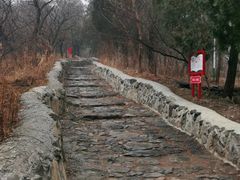 -阳台山自然风景区