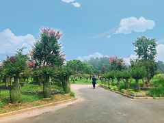 -东平国家森林公园