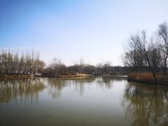 -西安浐灞国家湿地公园