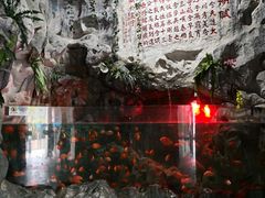 -苏州海洋馆