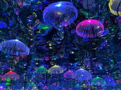 -天津梵高星空艺术馆(天河城旗舰店)